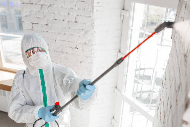 Best Post-Remediation Verification Testing  in East Oakdale, CA