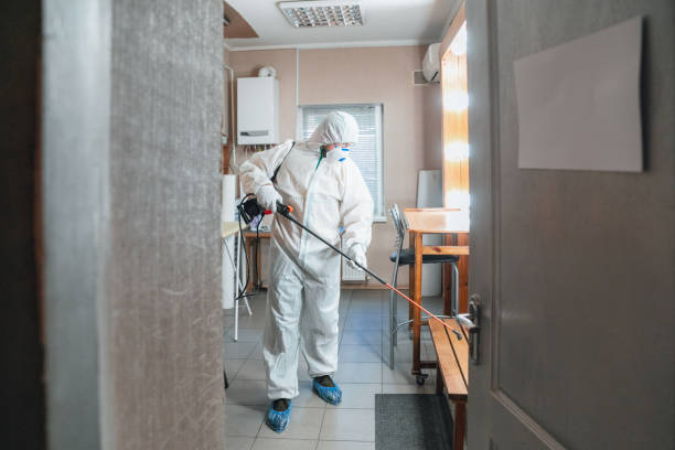 Best Post-Construction Mold Inspection  in East Oakdale, CA