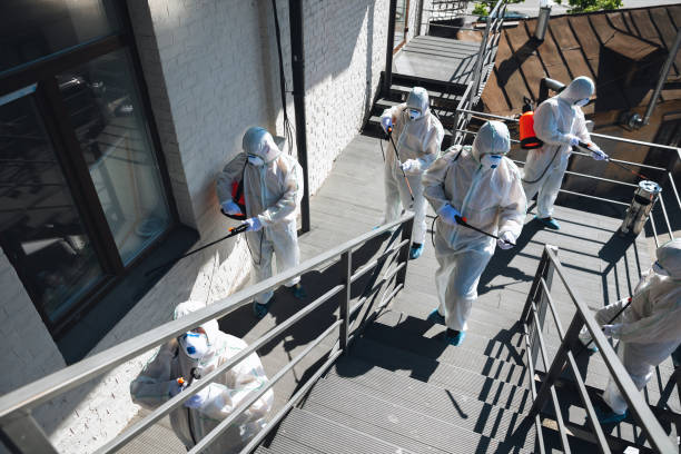 Mold Remediation for Vacation Homes in East Oakdale, CA