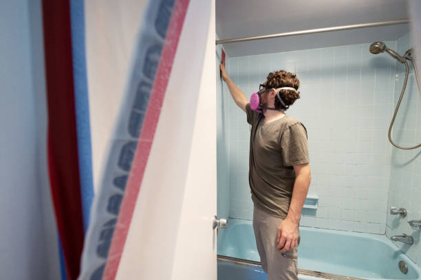 Best Mold Removal for HVAC Installations  in East Oakdale, CA