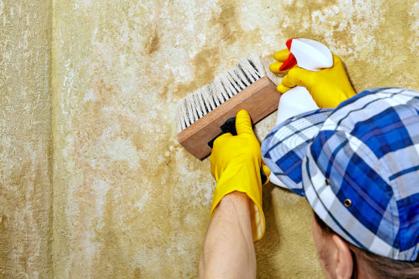 Best Crawl Space Mold Remediation  in East Oakdale, CA