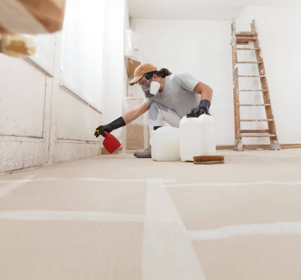 Best Attic Mold Removal  in East Oakdale, CA