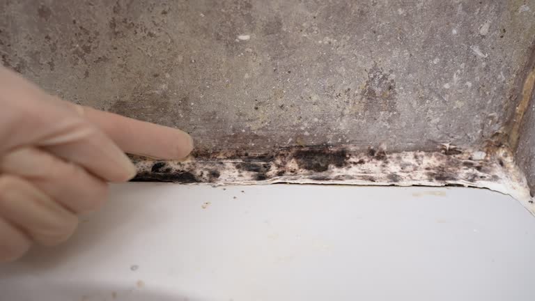 Best HVAC Mold Inspection and Cleaning  in East Oakdale, CA